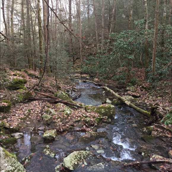 Meet your Posher, Evan - Picture 1 of 1